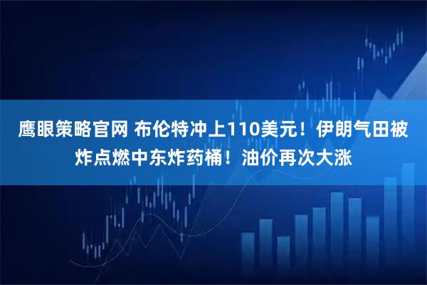 鹰眼策略官网 布伦特冲上110美元！伊朗气田被炸点燃中东炸药桶！油价再次大涨