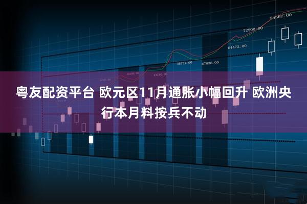 粤友配资平台 欧元区11月通胀小幅回升 欧洲央行本月料按兵不动