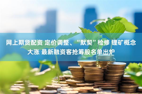 网上期货配资 定价调整、“默契”检修 锂矿概念大涨 最新融资客抢筹股名单出炉